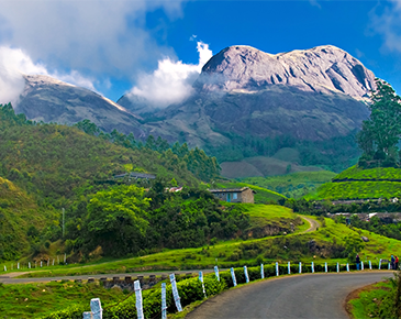 Glimpse of Kerela Tour