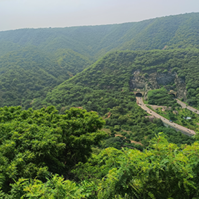 Rajasthan Heritage Tour 365 290